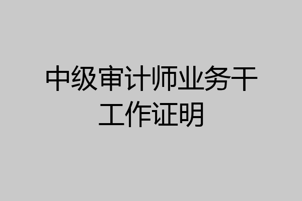 中级审计师业务干工作证明