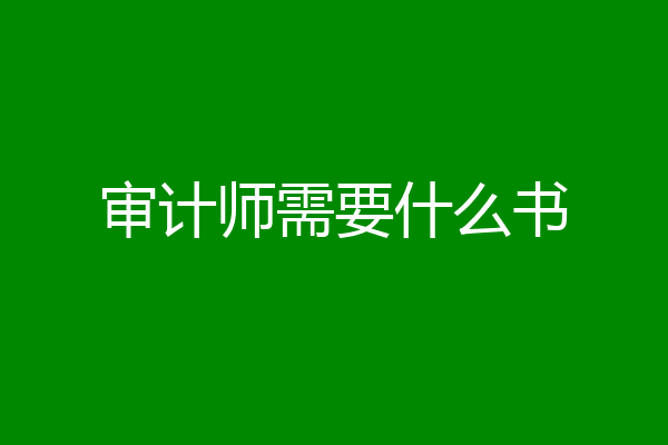 审计师需要什么书