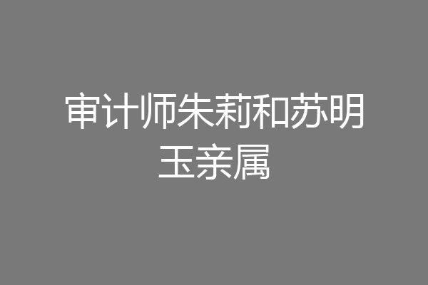 审计师朱莉和苏明玉亲属