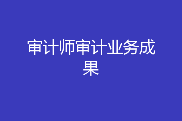 审计师审计业务成果