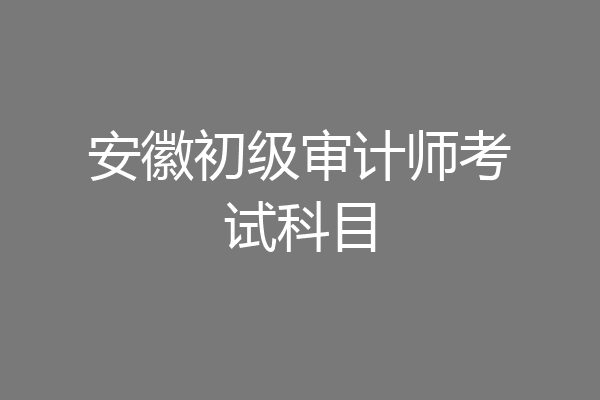 安徽初级审计师考试科目