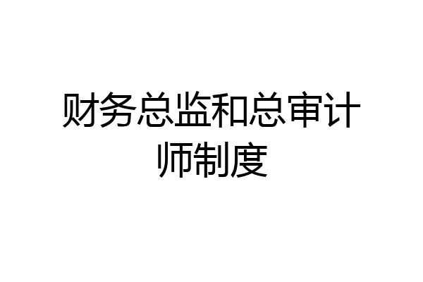 财务总监和总审计师制度