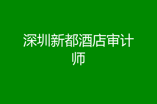 深圳新都酒店审计师