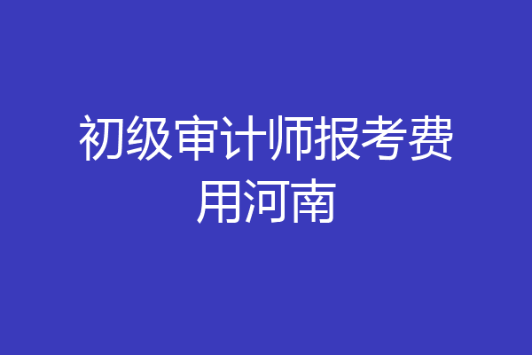 初级审计师报考费用河南