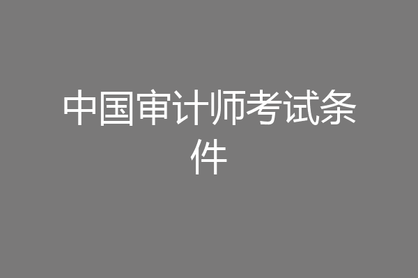 中国审计师考试条件
