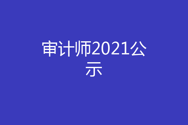 审计师2021公示