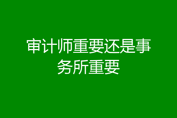 审计师重要还是事务所重要