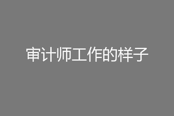 审计师工作的样子