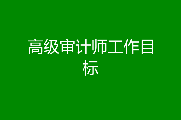 高级审计师工作目标