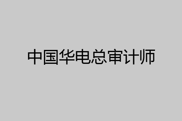 中国华电总审计师