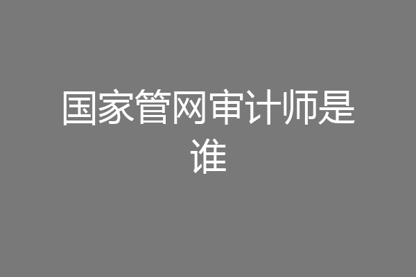 国家管网审计师是谁