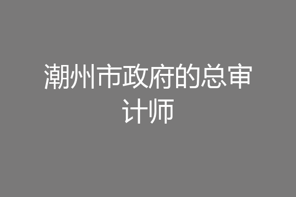 潮州市政府的总审计师