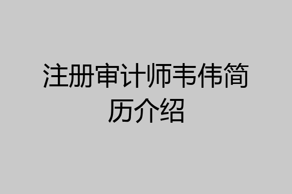 注册审计师韦伟简历介绍