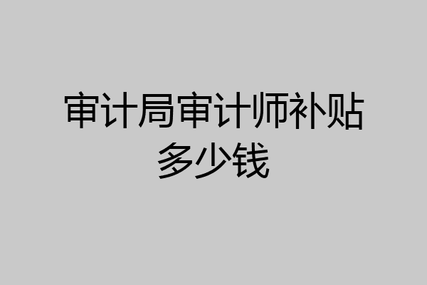 审计局审计师补贴多少钱