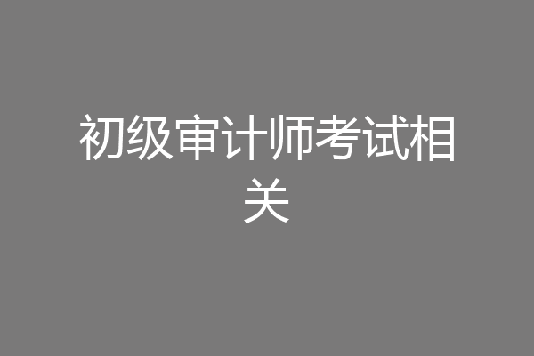 初级审计师考试相关