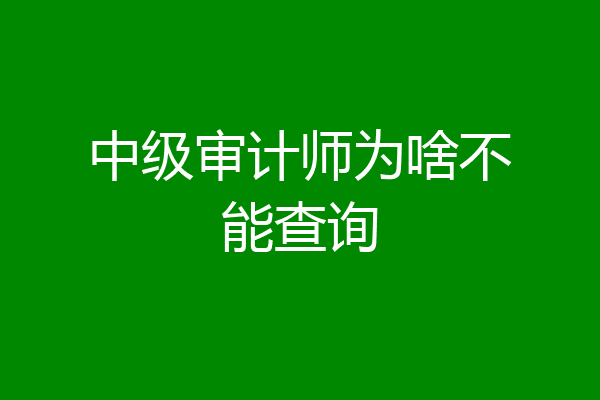 中级审计师为啥不能查询