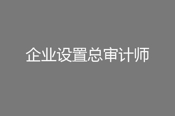 企业设置总审计师