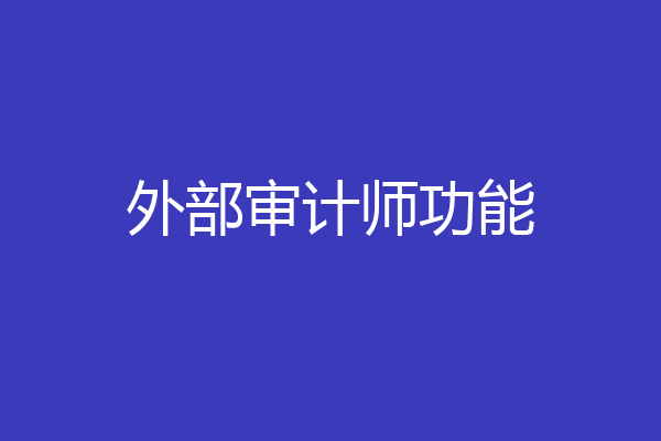 外部审计师功能