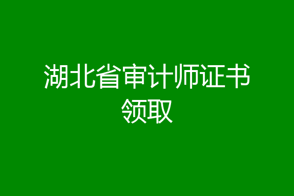 湖北省审计师证书领取