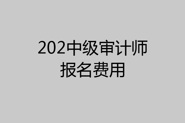 202中级审计师报名费用