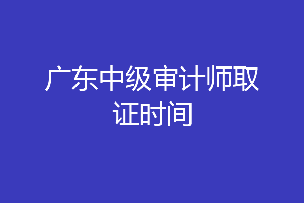 广东中级审计师取证时间