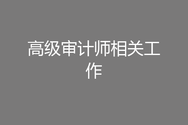高级审计师相关工作