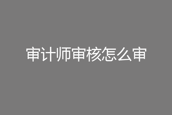 审计师审核怎么审