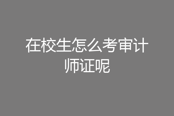 在校生怎么考审计师证呢