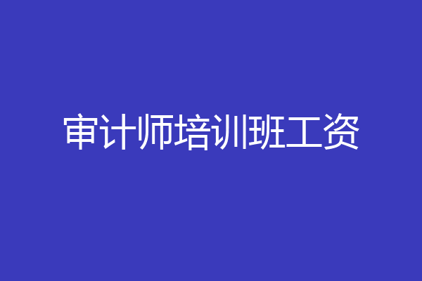 审计师培训班工资