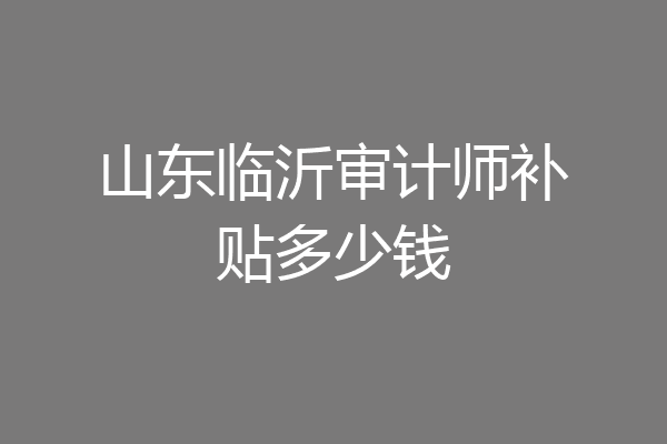 山东临沂审计师补贴多少钱