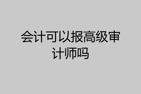 会计可以报高级审计师吗
