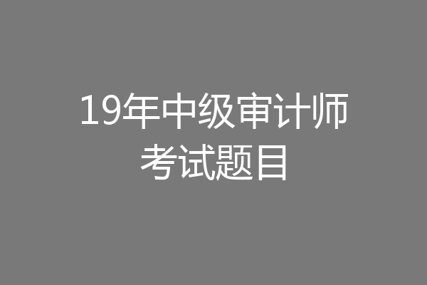 19年中级审计师考试题目