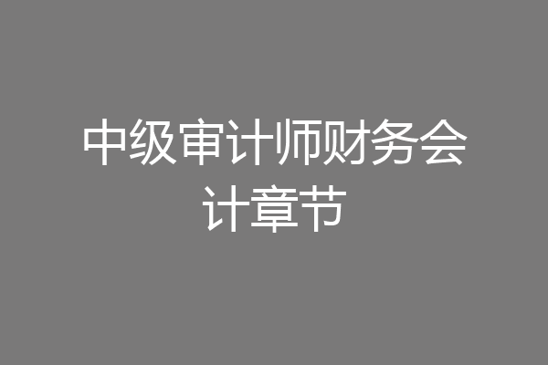 中级审计师财务会计章节
