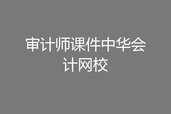 审计师课件中华会计网校