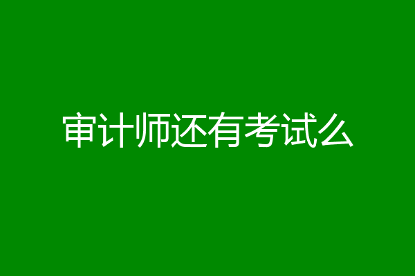 审计师还有考试么