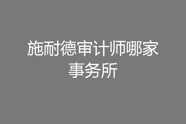 施耐德审计师哪家事务所
