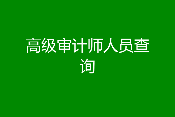 高级审计师人员查询