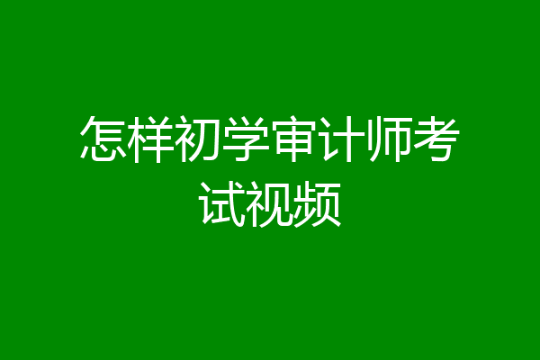 怎样初学审计师考试视频