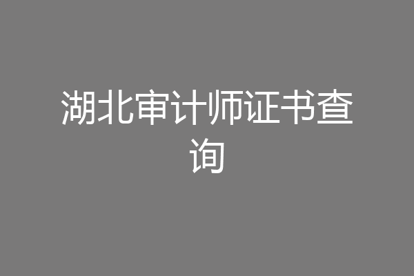 湖北审计师证书查询