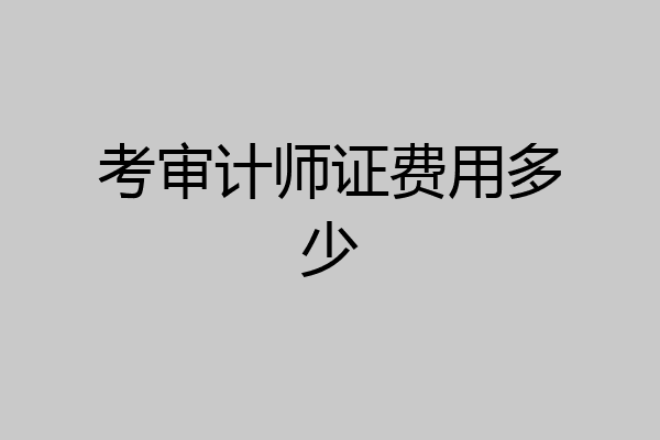 考审计师证费用多少