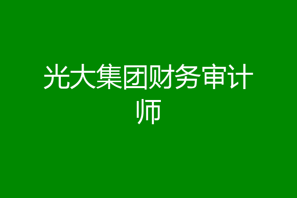 光大集团财务审计师