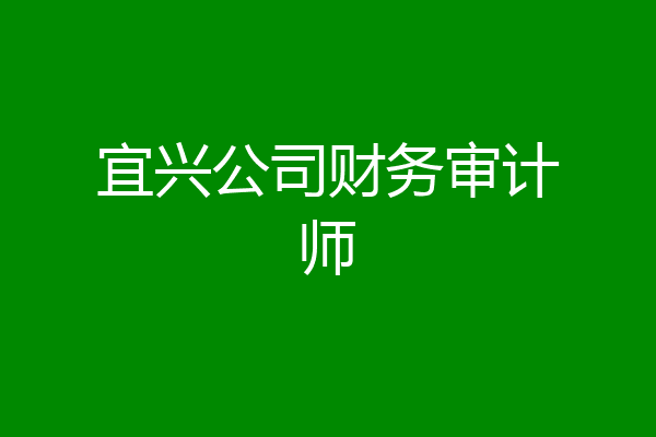 宜兴公司财务审计师