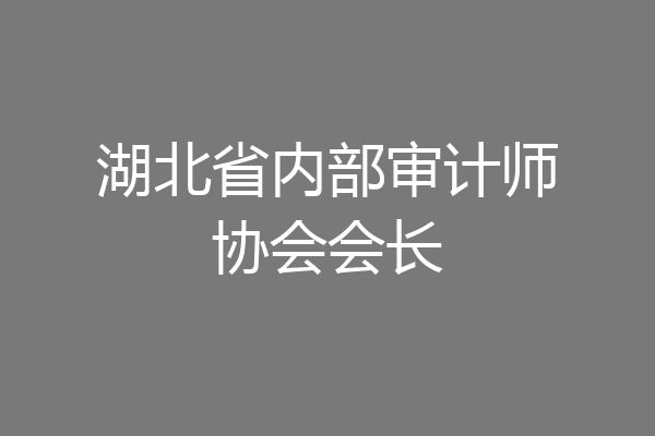 湖北省内部审计师协会会长