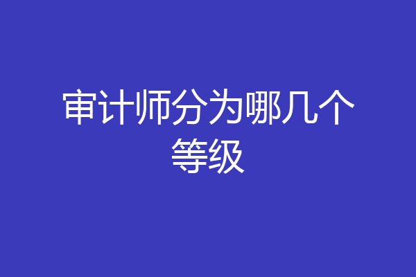审计师分为哪几个等级