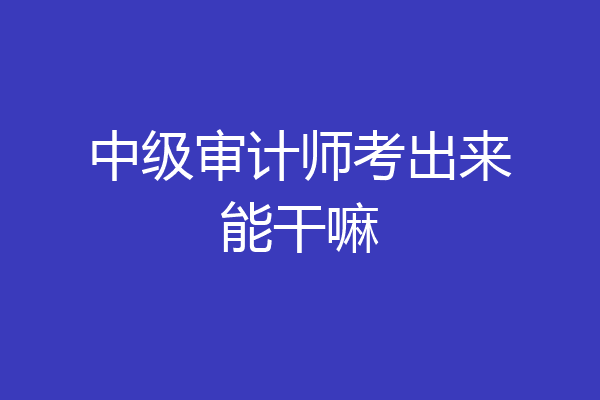 中级审计师考出来能干嘛