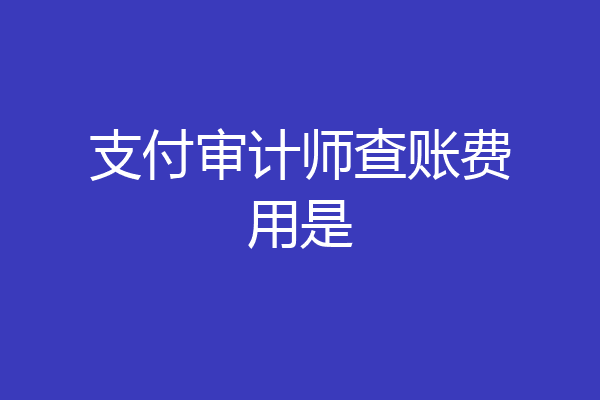 支付审计师查账费用是