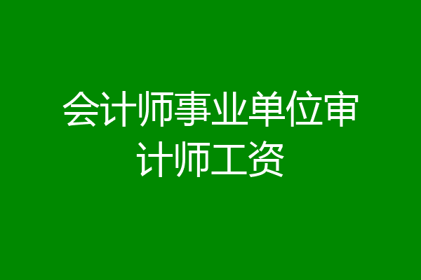 会计师事业单位审计师工资