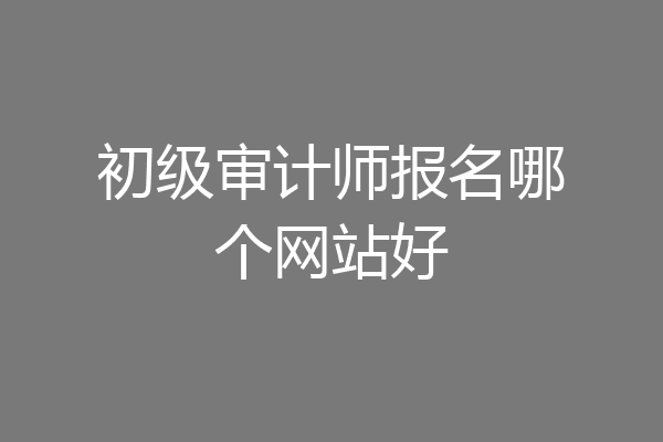初级审计师报名哪个网站好