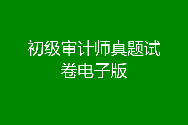 初级审计师真题试卷电子版