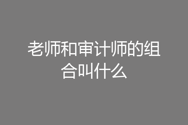 老师和审计师的组合叫什么